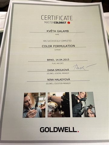 Certifikát 17